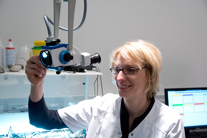 Dr. Bettina Lüer-Groel